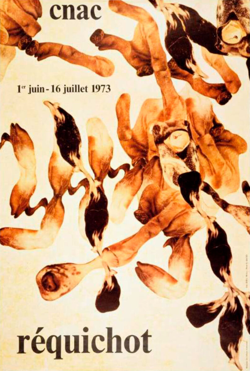 Okładka - Réquichot. CNAC, 1 juin – 16 juillet 1973