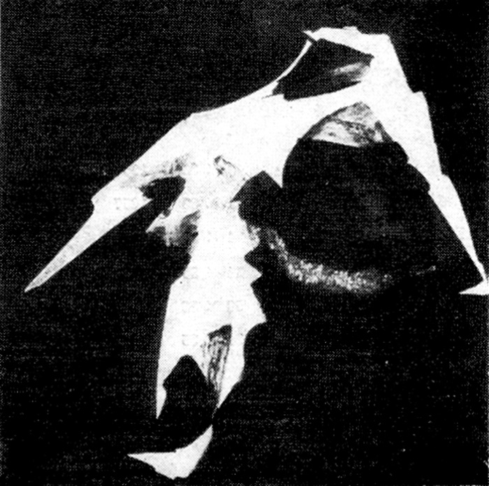 Okładka - Szkielet I