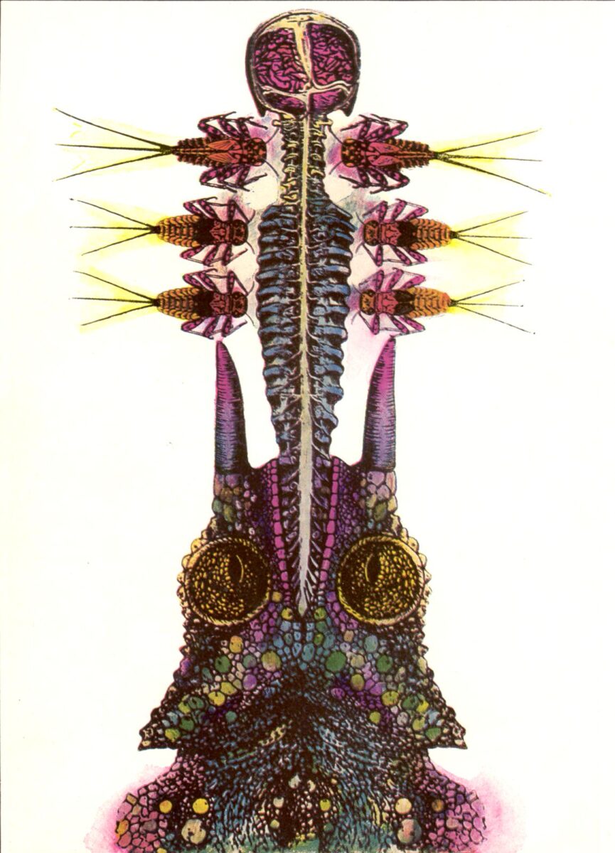 Okładka - Tarakany