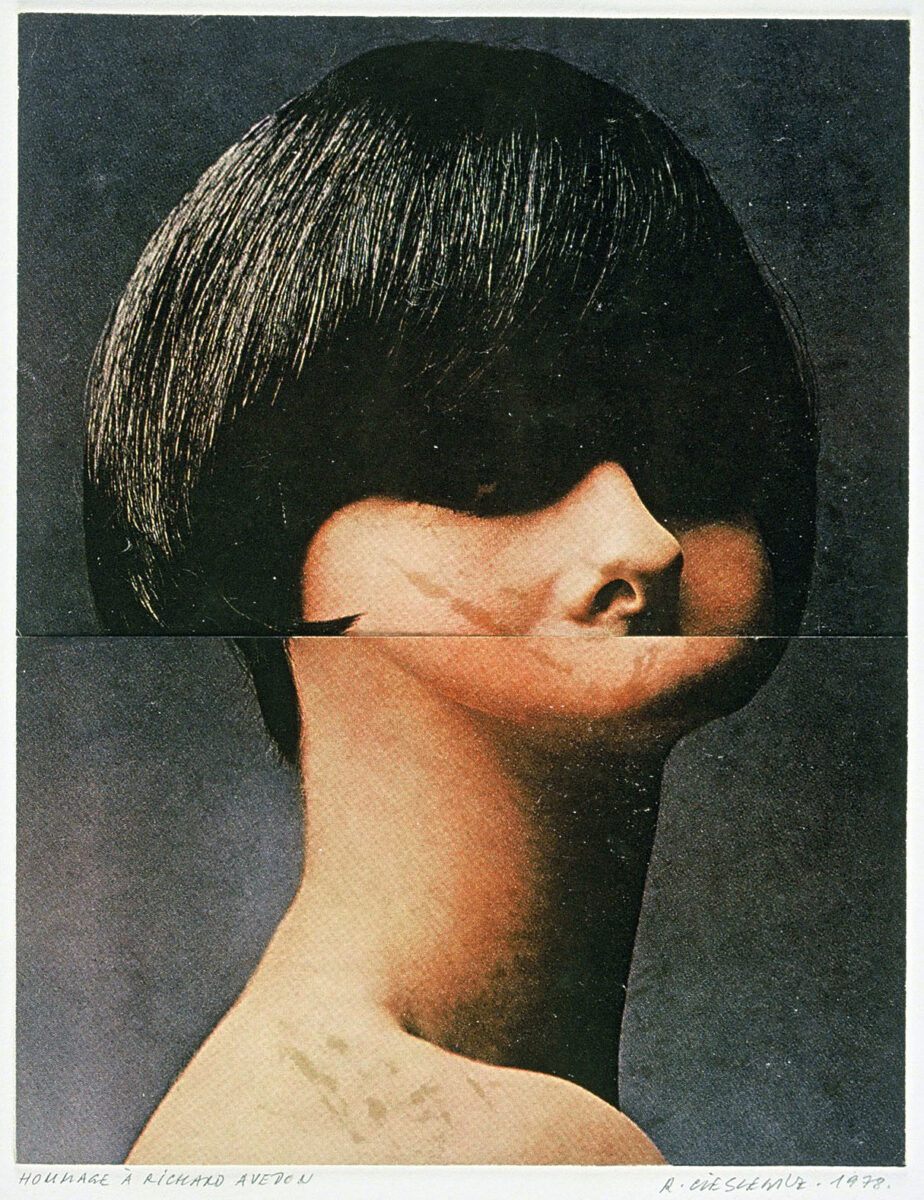 Okładka - Hommage à Richard Avedon