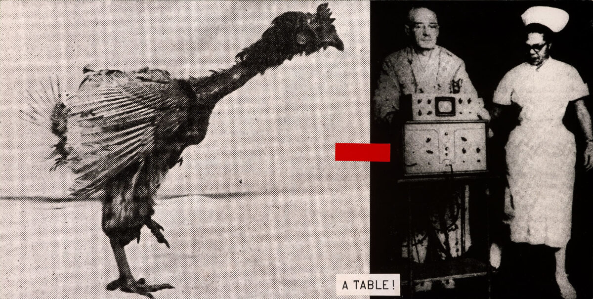 Okładka - A Table!