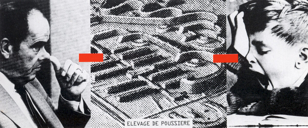 Okładka - Élevage de poussière