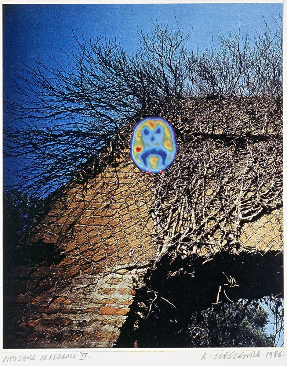 Okładka - Paysage cérébral IV