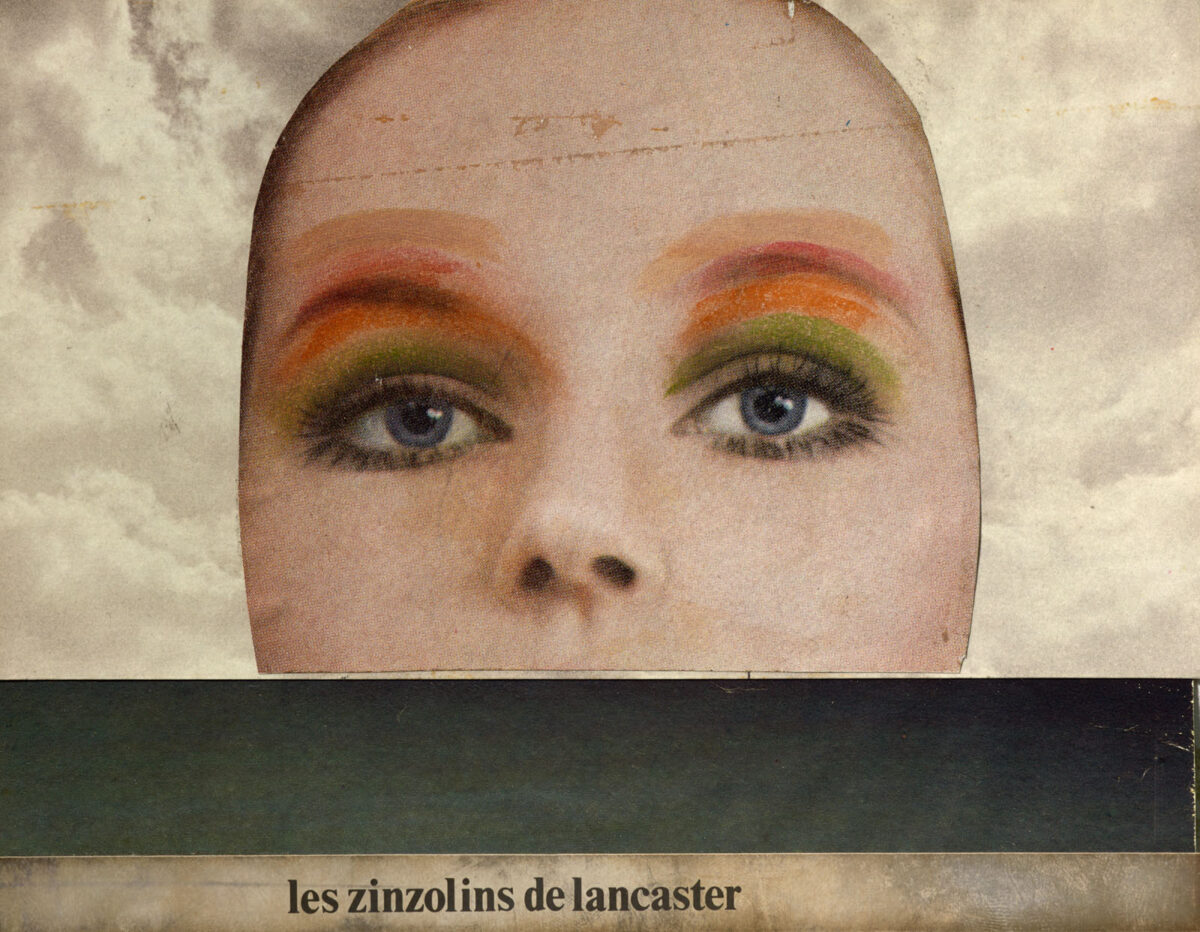 Okładka - Les zinzolins de Lancaster