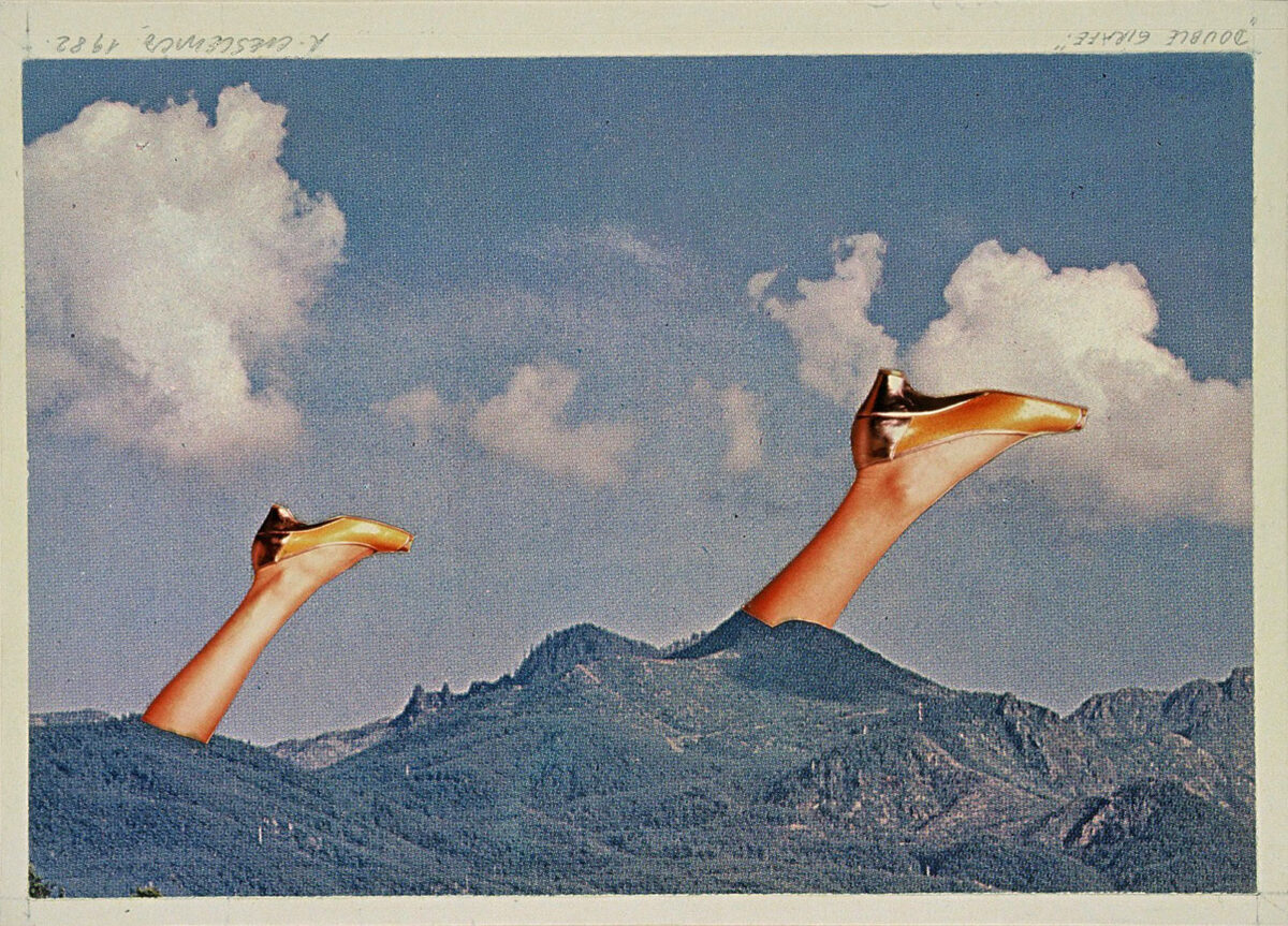 Okładka - Double giraffe