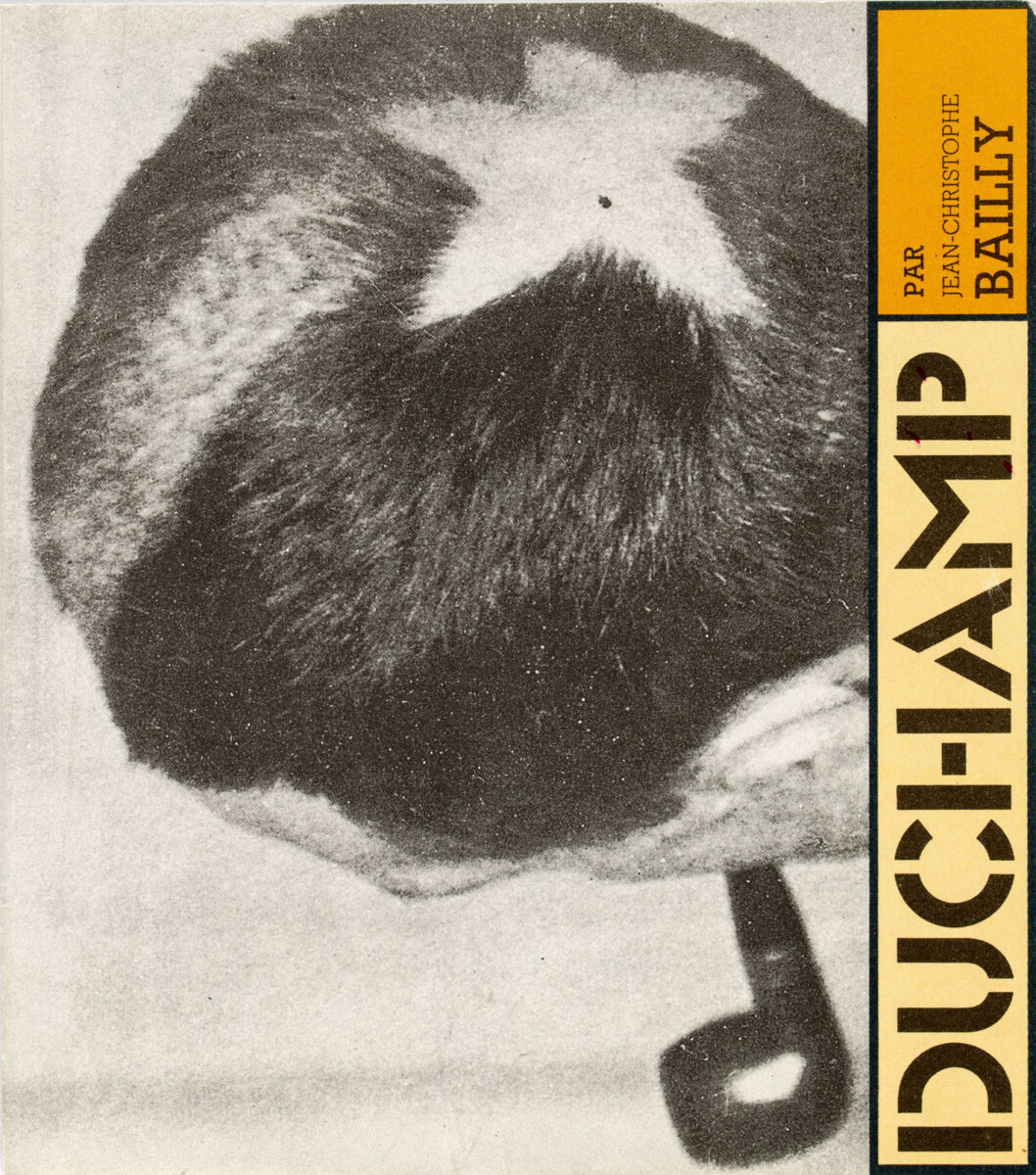 Okładka - Jean-Christophe Bailly, Duchamp