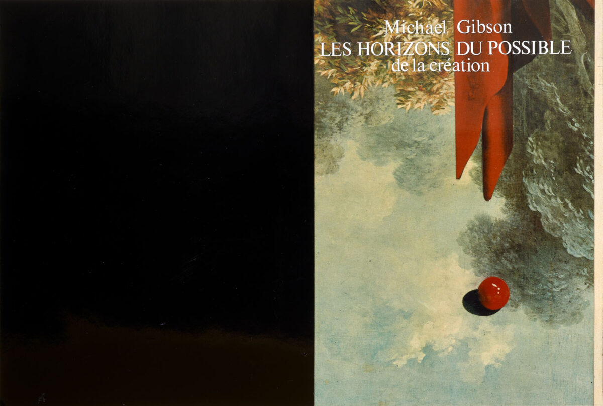 Okładka - Michael Gibson, Les Horizons du possible de la création
