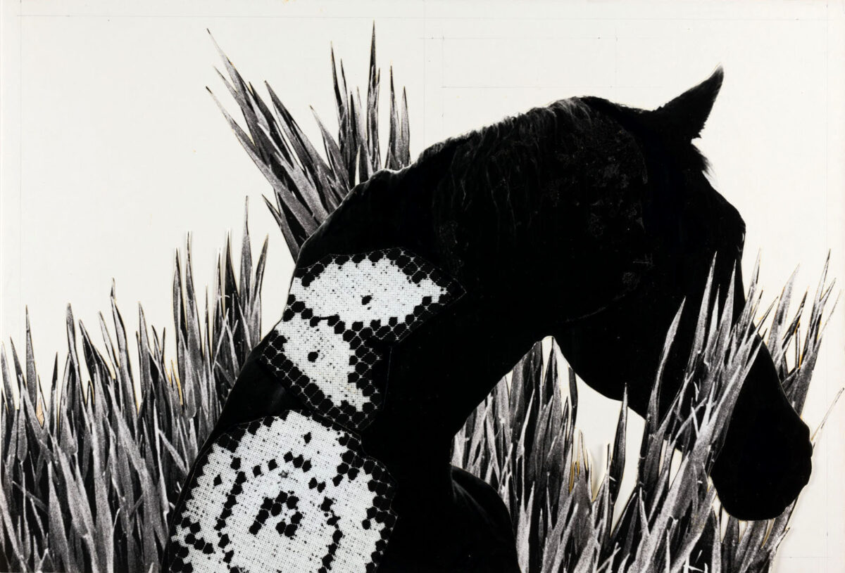 Cover - [La Pologne 1977/ 4 „Cheval”]