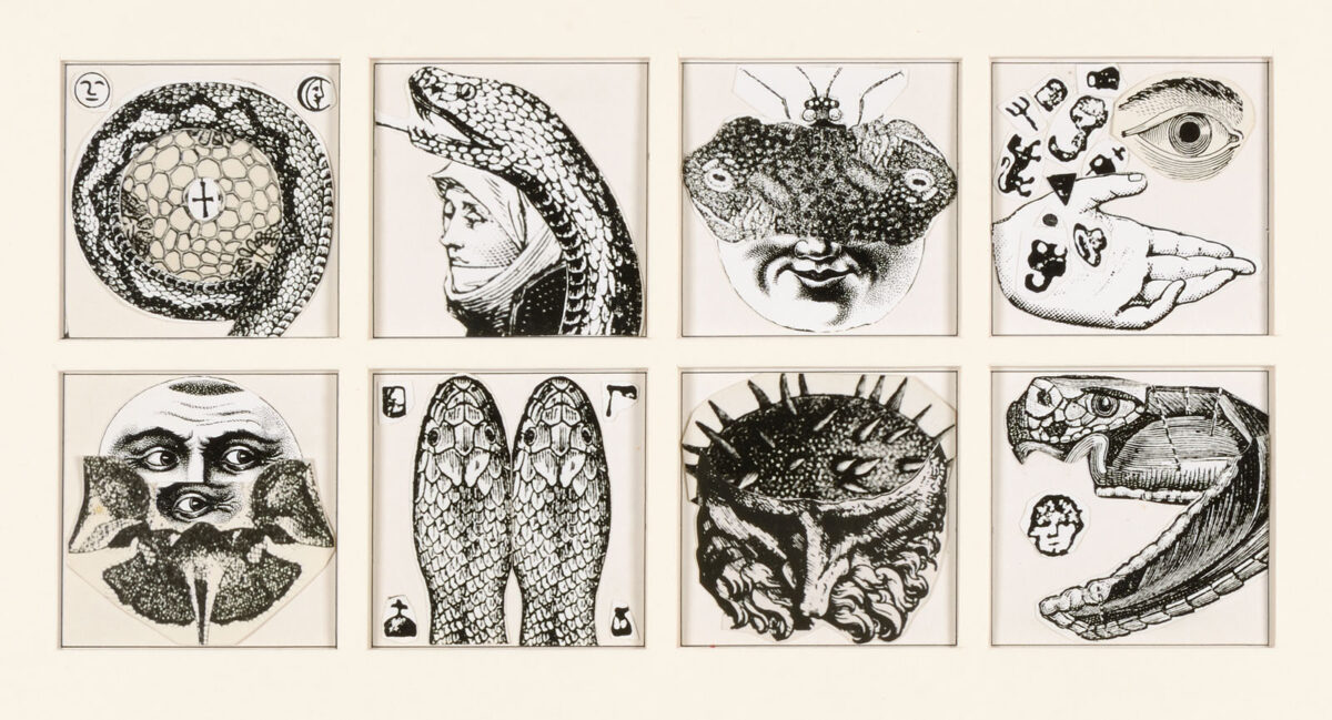 Okładka - L'Encyclopédie pratique des Conjurations et sortilèges