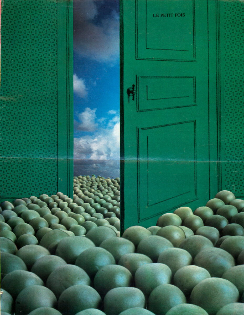 Okładka - Le Petit pois